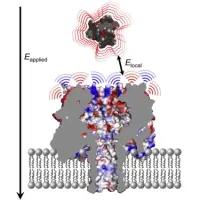Chem table of contents image
