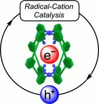 Spicer table of contents image