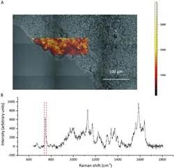Campbell Nature Paper
