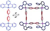 Metallosupramolecular Architectures