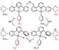 heteroleptic platinum coordination modes