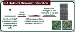 3D Microarrays of Hydrogels