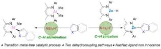 Transition Metal-Free Catalytic C−H Zincation and Alumination