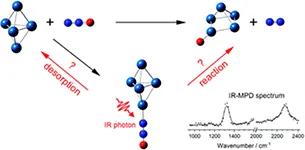 G. Meizyte et al., 2020