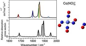 G. Meizyte et al. 2022