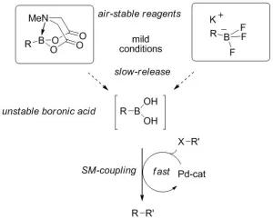  'The Slow-Release Strategy in Suzuki-Miyaura Coupling'; Invited contribution to Special Issue on Cross-Coupling & Nobel Prize in Chemistry