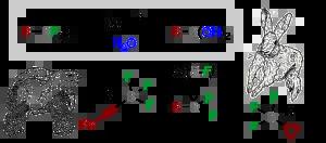 Organotrifluoroborate Hydrolysis: Boronic Acid Release Mechanism and an Acid-Base Paradox in Cross-Coupling
