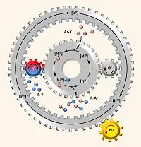 Self-control tames the coupling of reactive radicals