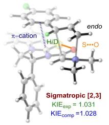 Catalytic Enantioselective [2,3]-Rearrangements of Allylic Ammonium Ylides: A Mechanistic and Computational Study