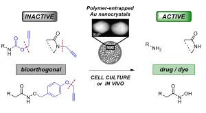 Gold-Triggered Uncaging Chemistry in Living Systems