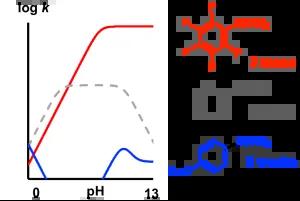 Base-catalyzed Aryl-B(OH)2 Protodeboronation Revisited: from Concerted Proton-Transfer to Liberation of a Transient Arylanion