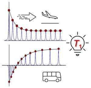 FLIPS – Rapid Estimation of T1 for Quantitative NMR
