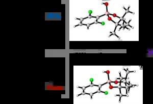 Protodeboronation of (Hetero)Arylboronic Esters: Direct versus Pre-hydrolytic Pathways and Self/Auto-Catalysis