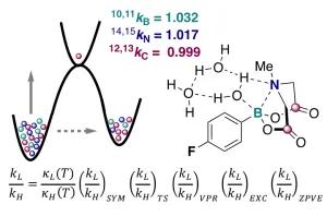 Heavy-Atom Kinetic Isotope Effects: Primary Interest or Zero Point?