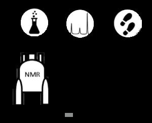  Mechanistic Analysis by NMR Spectroscopy: a Users Guide