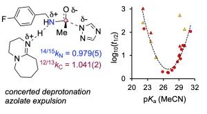 Kinetics and Mechanism of Azole n−π*-Catalyzed Amine Acylation
