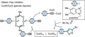 Mechanistic Basis of the Cu(OAc)2 Catalyzed Azide-Ynamine (3 + 2) Cycloaddition Reaction
