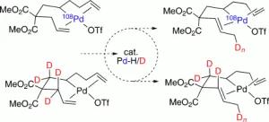 Cryptocatalytic 1,2-Alkene Migration in a σ-Alkyl Palladium Diene Complex