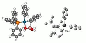 A Computational Study of Phosphine Ligand Effects in Suzuki-Miyaura Coupling