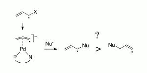 Memory and dynamics in Pd-catalyzed allylic alkylation with PN-ligands