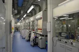 A view through the lab