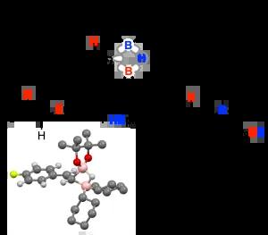 Kinetics and Mechanism of the Arase-Hoshi R2BH-Catalyzed Alkyne Hydroboration: Alkenylboronate generation via B-H/C-B Metathesis