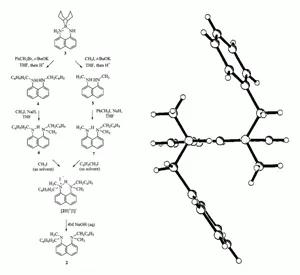 Synthesis, Structure and Stereodynamics of an N,N-Chiral 'Proton Sponge'