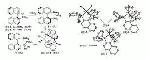 Palladium(II) Complexes