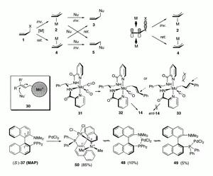 Transition Metal Catalysis in Organic Syntheis: Reflections, Chirality, and New Vistas
