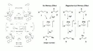 Diastereoisomeric Cationic π-allyl-Pd-(P,C)-MAP and MOP Complexes