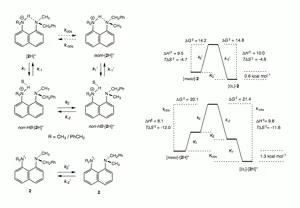 Entropy-Driven Hydrogen Bonding