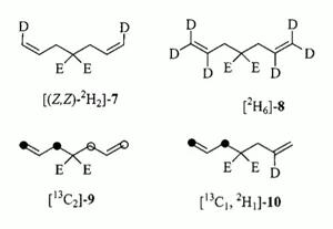 Useful Probes for the Study of Transition Metal catalysed 1,6-diene Cycloisomerisation