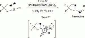Mechanistic Aspects of Transition Metal Catalysed 1,6-Diene and 1,6-Enyne Cycloisomerisation Reactions
