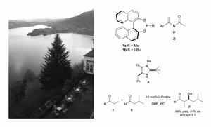 Highlights from the 38th ESF/EUCHEM Conference on Stereochemistry, Bürgenstock, Switzerland, April/May 2003