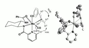 Mechanistic Studies of The Molybdenum-catalyzed Asymmetric Alkylation Reaction
