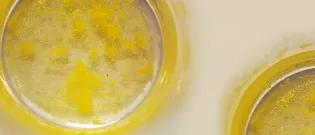 Aerial View of Gold Precipitation