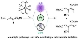 Mechanism of reductive dimerisation of alkenes