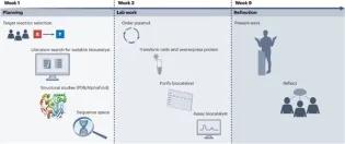 The timeline for the biocatalysis projects within the Chem4P course where students carry out a research project over 10 weeks